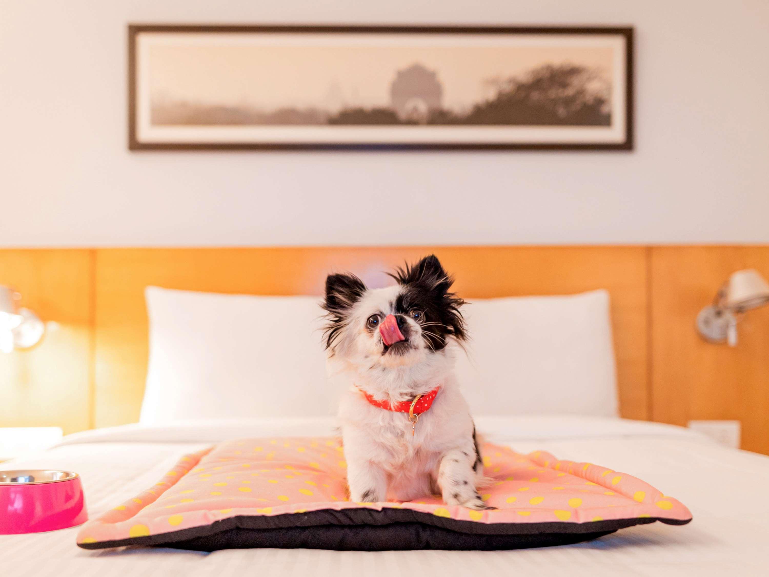 Ibis Gurgaon Golf Course Road - An Accor Brand Hotel Eksteriør billede